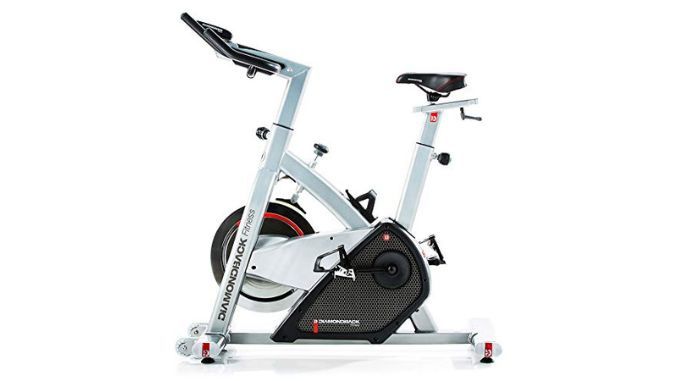 Diamondback Fitness 510lc Indoor Cycle