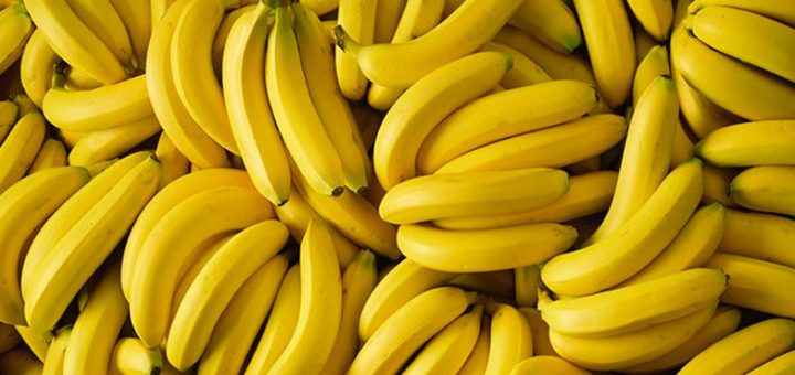 banana diet
