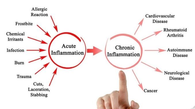 chronic inflammation symptoms-Acute and Chronic Inflammation