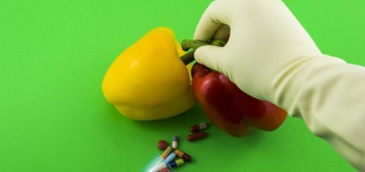 The Debate Over GMO Thumbnail