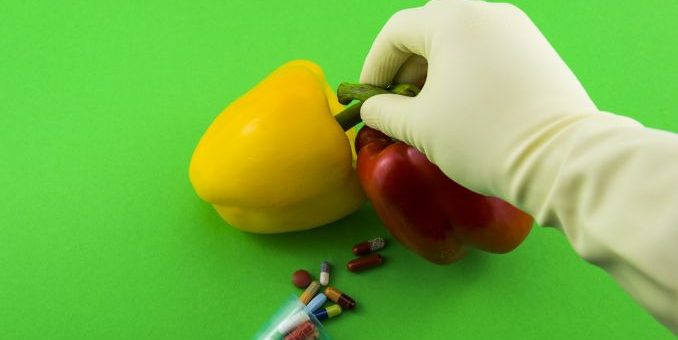 The Debate Over GMO Thumbnail