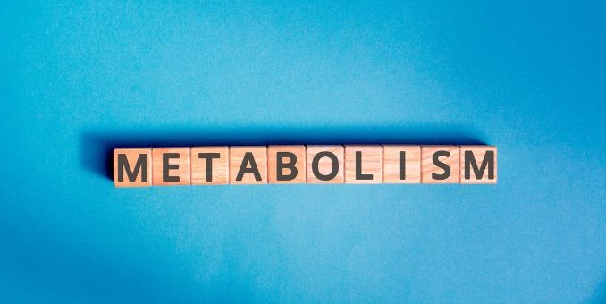 boost your metabolism