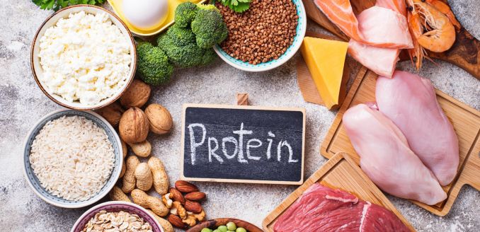 Alternative Proteins - The New Norm Thumbnail