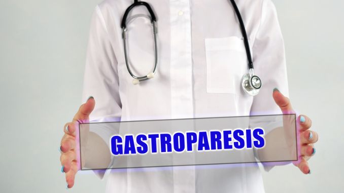 Gastroparesis Smoothies for Gut Health and Weight Loss