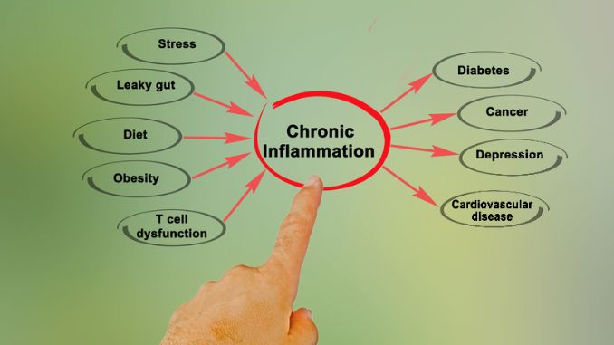 Causes and effect of Chronic Inflammation- Water Fasting
