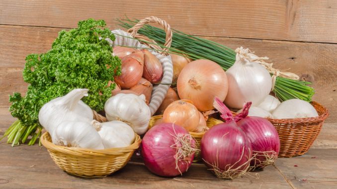 Different types of onions, garlic and shallots