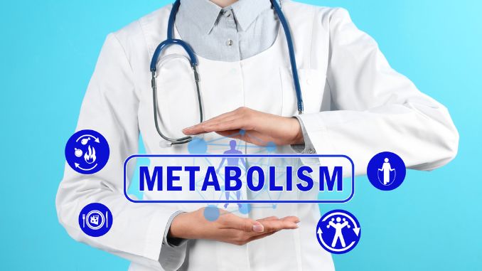 metabolism-concept-doctor-stethoscope - Weight Loss Gummies