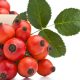 Highly Recommended, Creative and Delicious Rose Hips Recipes to Try