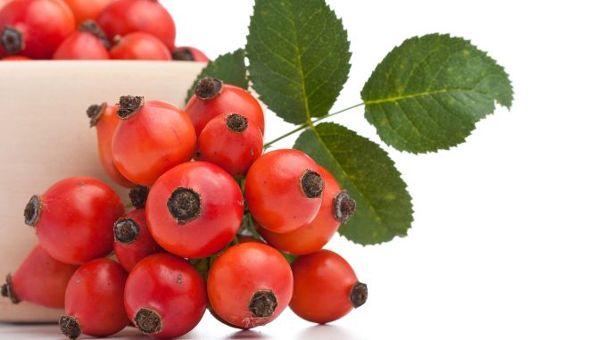 Highly Recommended, Creative and Delicious Rose Hips Recipes to Try