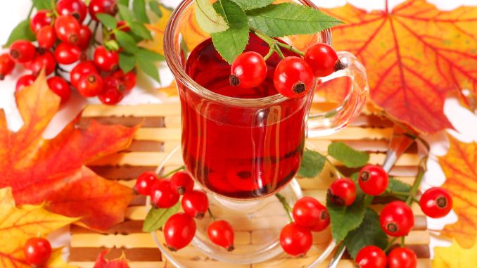 Rose Hip Syrup 