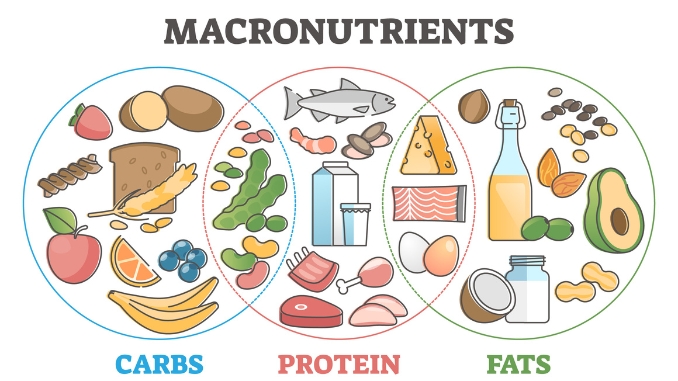 High Protein Meal Prep for Muscle Gain