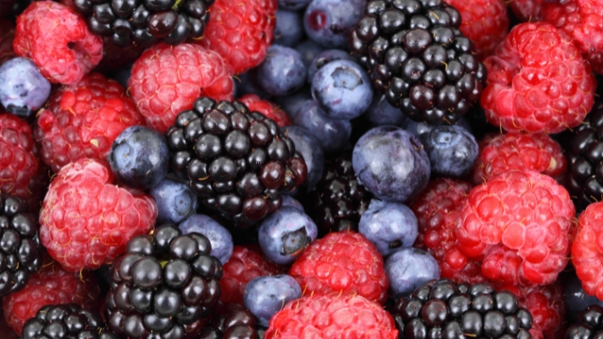 Keto 2.0-Friendly Fruits and Berries