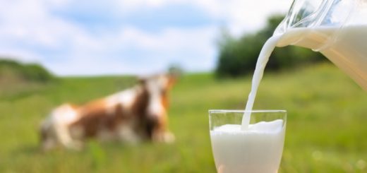 #4 Best Milk for Gut Health