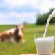 #4 Best Milk for Gut Health