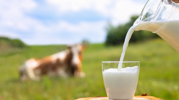 #4 Best Milk for Gut Health