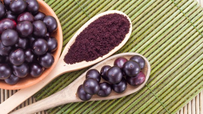 Acai Berry Powder