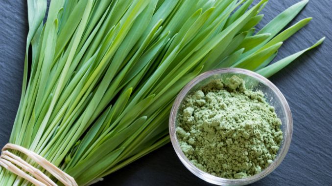 Barley Grass Powder - Antioxidant Powders