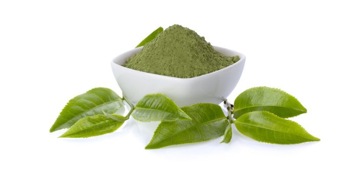 Green Tea Extract Powder