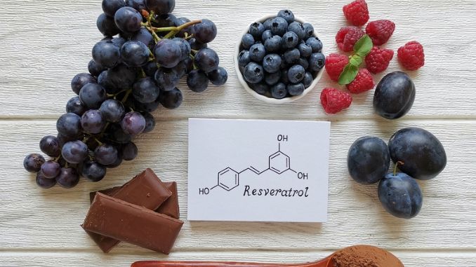 Resveratrol Powder