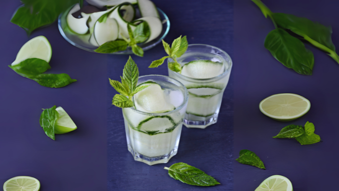 Cucumber Mint Cooler