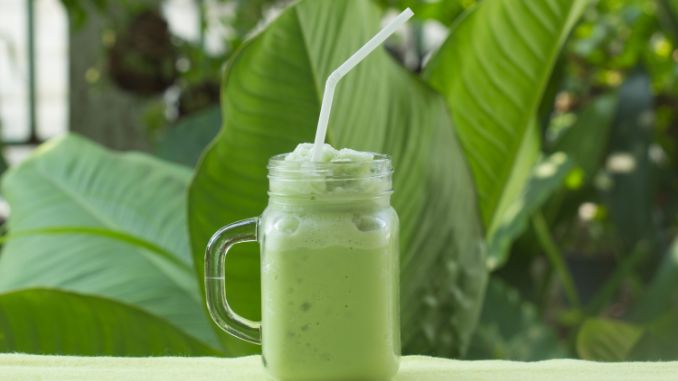 Green Tea Protein Shake