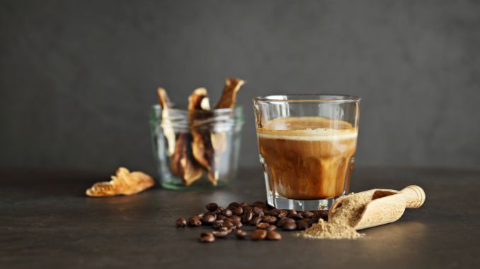 mushroom coffee benefits