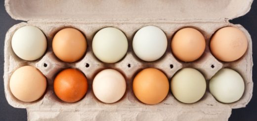 How to Buy the Best Eggs
