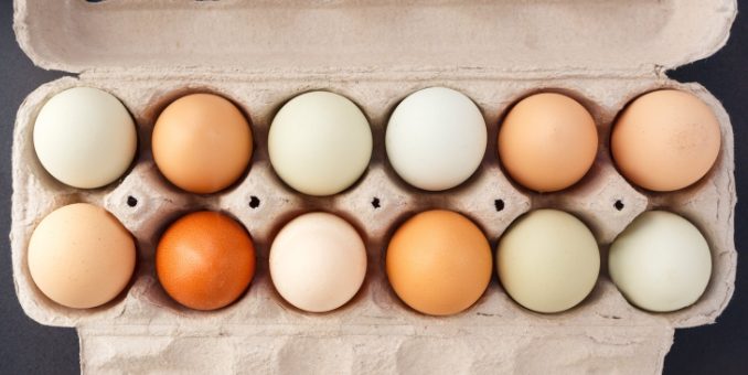 How to Buy the Best Eggs