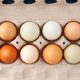 How to Buy the Best Eggs