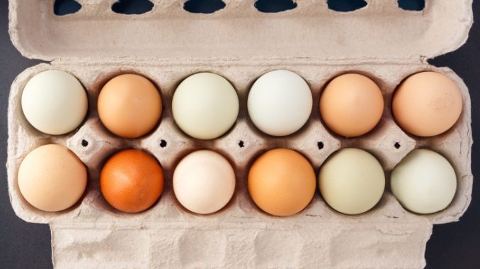 How to Buy the Best Eggs