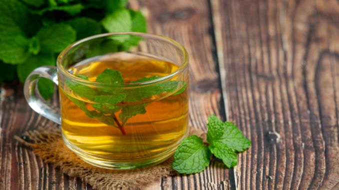 Peppermint Tea: Cool Relief for Tummies and Tension- Healing herbal teas