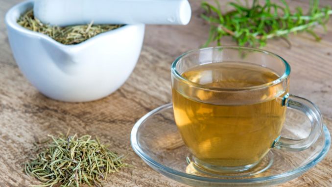 Rosemary Tea: For Focus, Circulation, and Immune Health