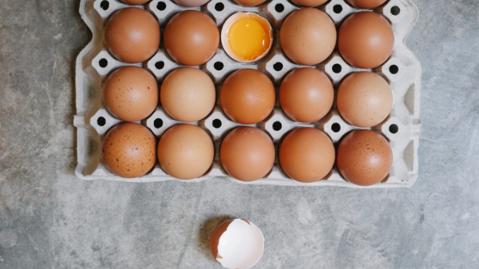 What Do Egg Grades Mean? Don’t Be Fooled by Fancy Words - How to Buy the Best Eggs