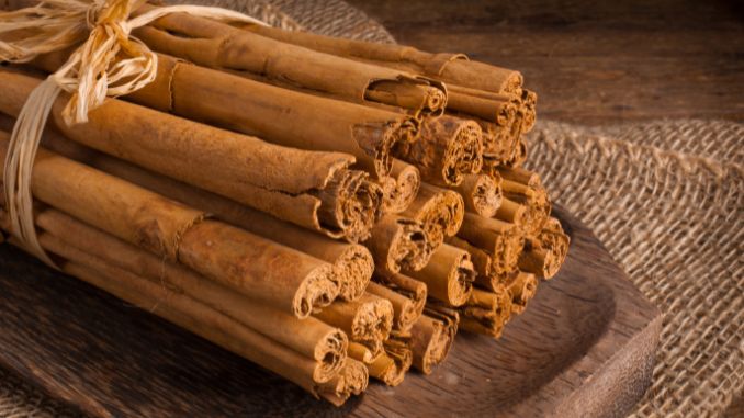 bunch-of-ceylon-cinnamon - health benefits of cinnamon