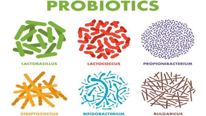 human-health-microscopic-bacterial-flora - weight loss mistakes